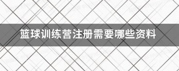 训练营篮球价格